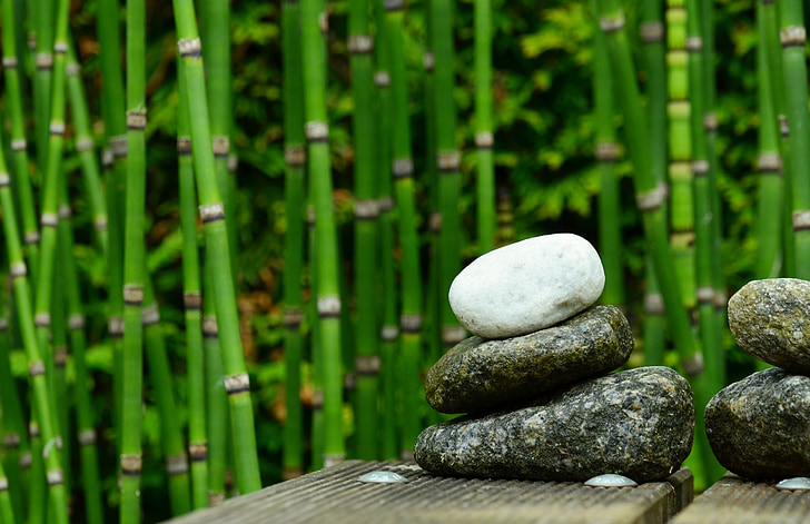 pedres, bambú, decoració, jardí, l'aigua, Bassa de jardí, equilibri