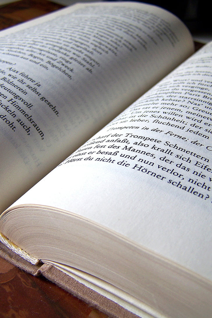 knjiga, stranici knjige, stranica, razapeo, čitanje, knjiga, književnost
