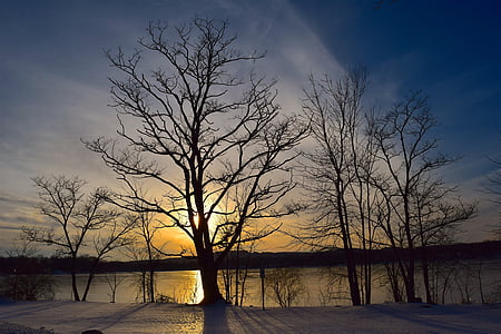träd, siluett, solnedgång, sjön, vinter, fryst, naturen