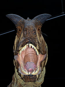 ไดโนเสาร์, พิพิธภัณฑ์, สัตว์กินเนื้อ, palaeontology, อันตราย, ฟัน, นักล่า