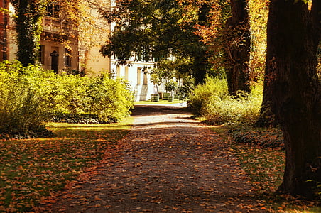 công viên, cây, đi, Sân vườn, lâu đài công viên glienecke, cây rụng lá, màu xanh lá cây