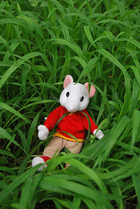mus, legetøj, græs, uden for, natur, Stuart, lille