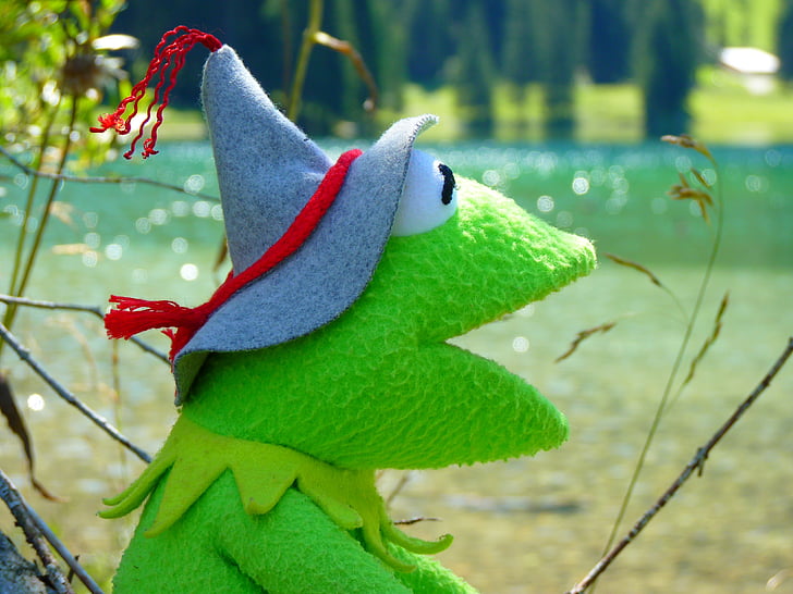 Kermit, varde, lelle, stāvs, zaļa, Tiroles cepure, cepures