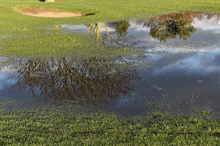 golf, golf course flooding, water, reflection, course, landscape, flood