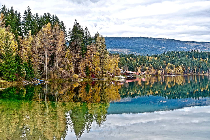 nyugodt, ősz, elmélkedés, tó, fák, festői, táj