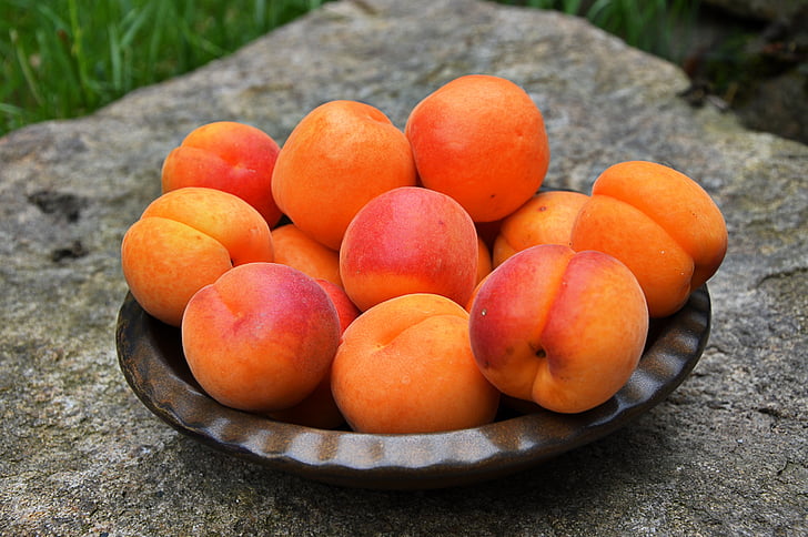 aprikot, buah, matang, Manis