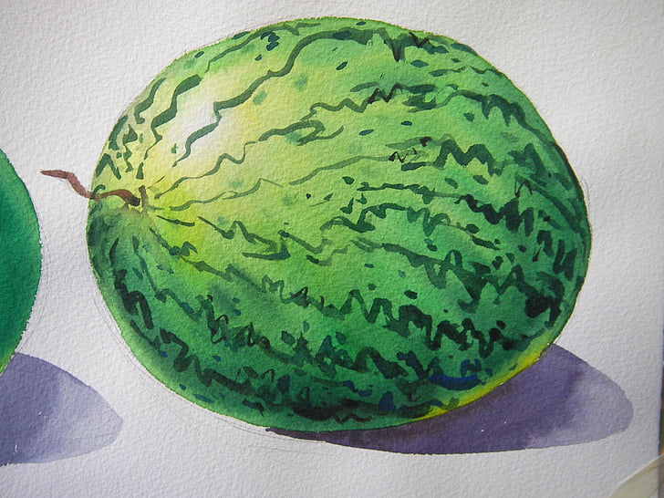 lukisan, semangka, cat air, ilustrasi, buah