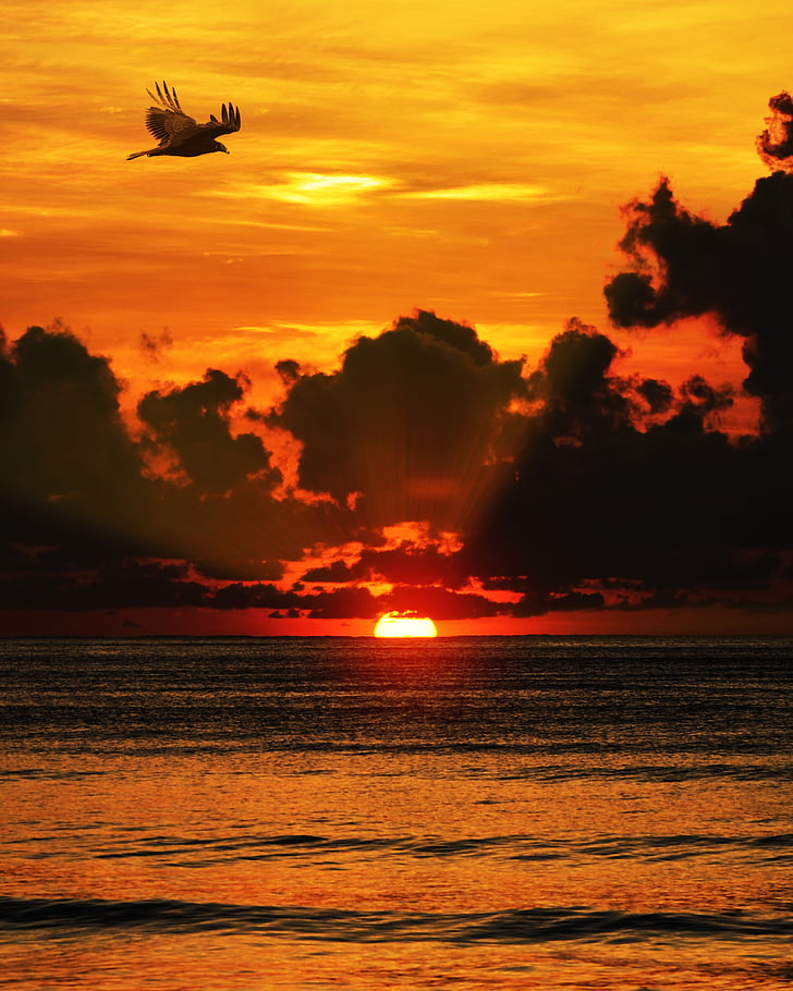 Sunset, Sea, pilvet, Ocean, vesi, Sun, taivas