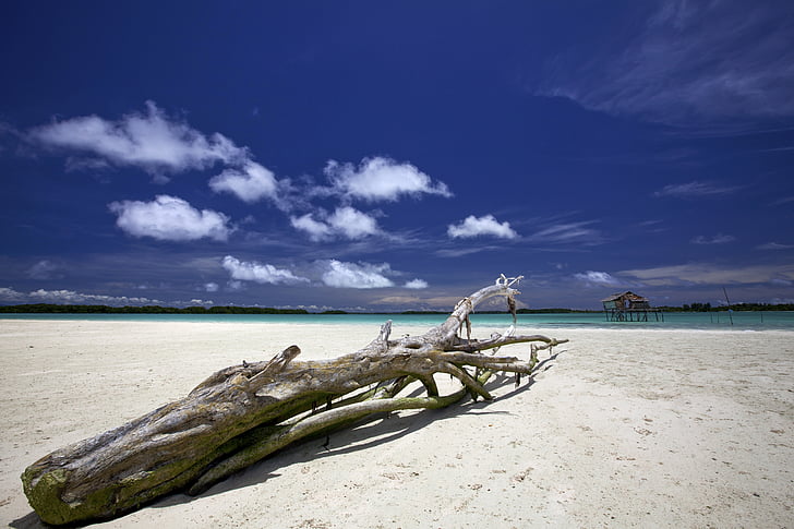 táj, Indonézia, Halmahera, WiDi szigetek, hajótörött fa, fehér homokos strand, Sky