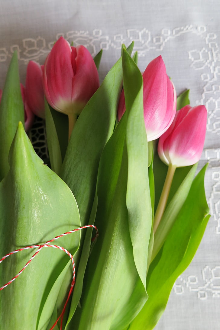 tulipas de buquê, fotos de flores, mãe, 8 de março