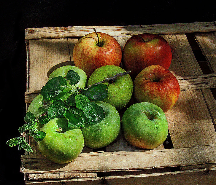 Zátiší, jablka, krabice, snítka, ovoce, jídlo, čerstvosti