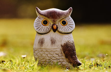 Owl, con chim, Buồn cười, Meadow, gốm sứ, động vật, Dễ thương