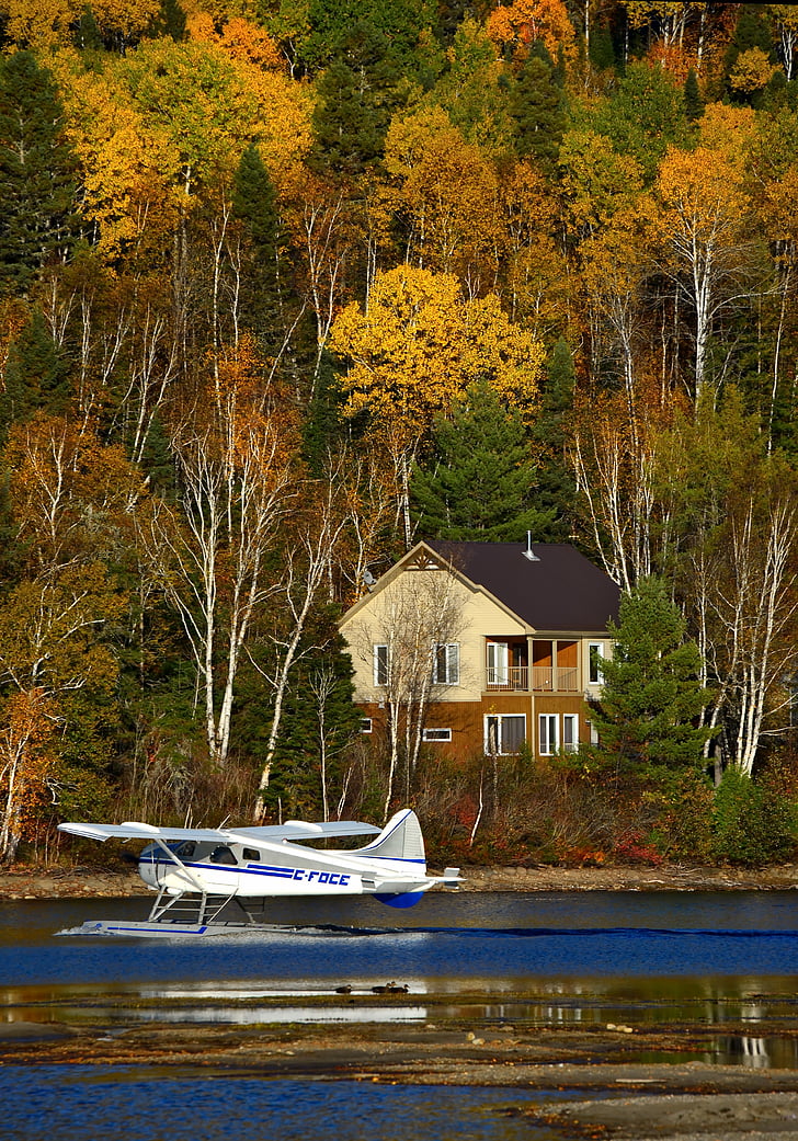 hydroplán, podzimní krajina, Příroda, voda, jezero, na podzim, Québec