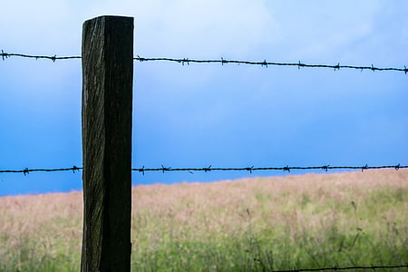 fence, barbed wire, pasture, fence post, pile, demarcation, barrier