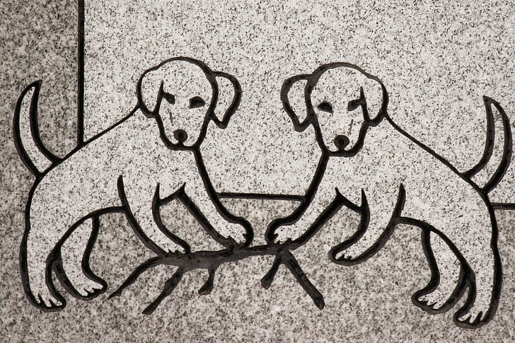 ukiran, anjing, hewan, Nisan, simbol, detail, granit