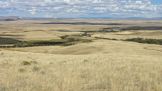 Wyoming, moln, rullande, terräng, Creek, betesmark