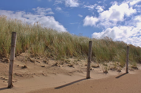 día de verano, paisaje de arena, senderos del viento