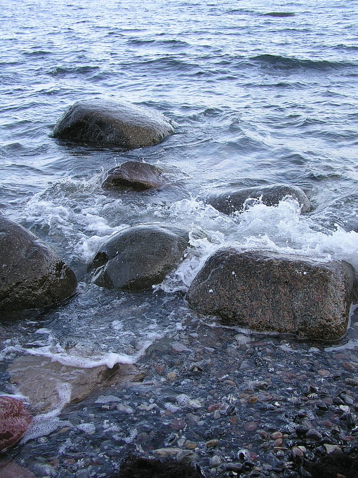 stones, water, rügen, baltic sea, sea, bank, nature