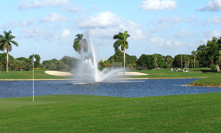 Miami, Florida, håndflatene, palmer, Lake, vann, fontene