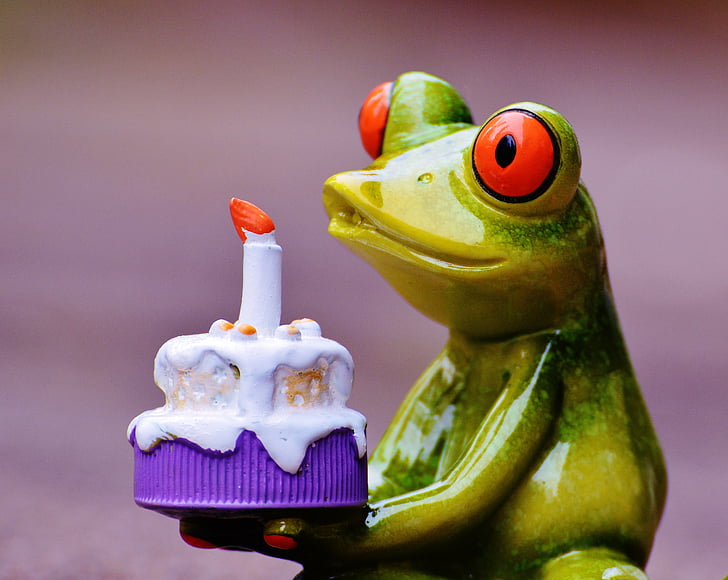Честит рожден ден, рожден ден, жаба, поздрав, поздравителна картичка, Смешно, цветни