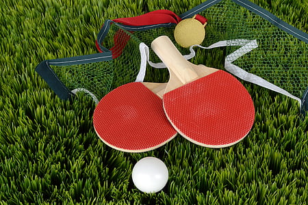 ping-pong, bat, table tennis bat, sport, play, paddle, network