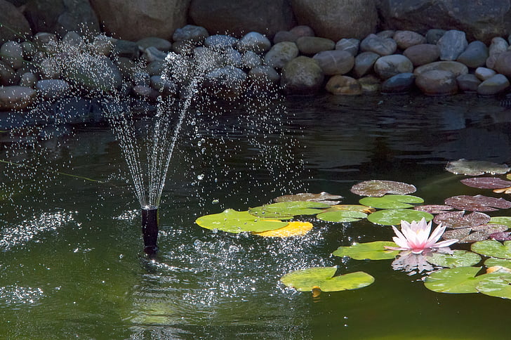 pond, fountain, water lily, water