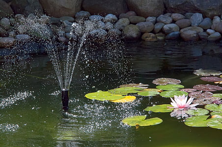 Ao, Đài phun nước, water lily, nước