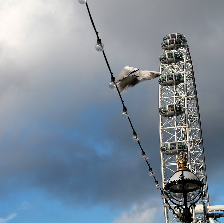 lento, lintu, London Eye-maailmanpyörä, Lontoo, taivas, pilvi, lentää