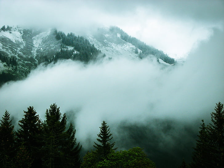 Alpina, nevoeiro, neve, Nova Zelândia, montanhas, Áustria, nuvens