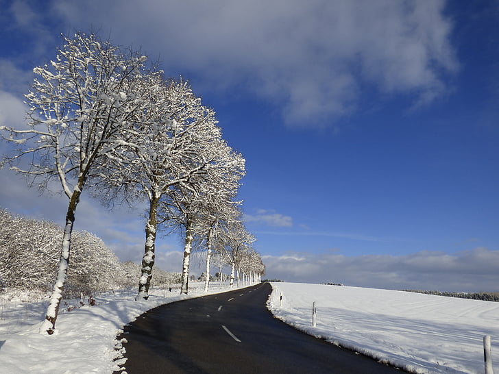 Bäume, Schneelandschaft, Zing, blauer Himmel, Schnee, Luxemburg