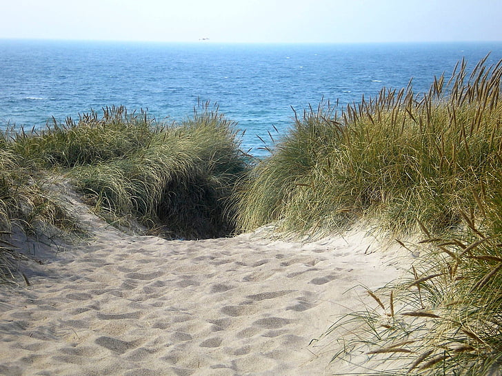 dunes, summer, sea, north sea