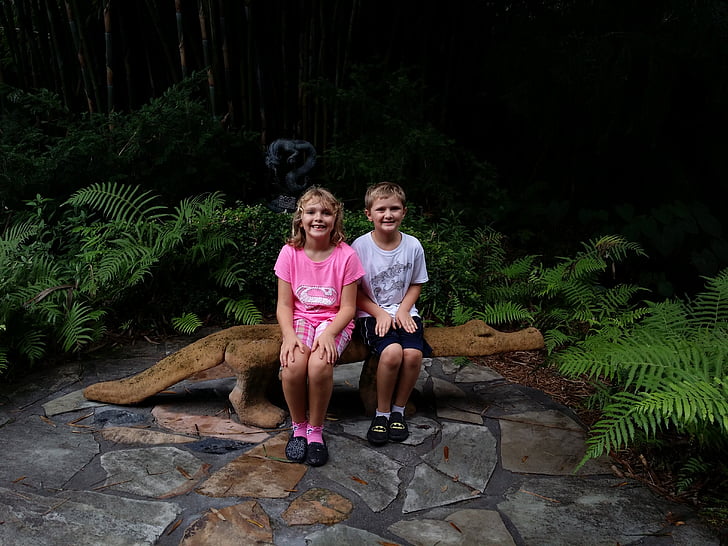 kids, together, alligator, bench, garden