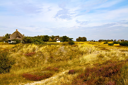 dune, Page d’accueil, toit de chaume, paysage, Sky, scène rurale, Agriculture