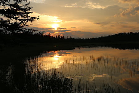 Norvège, Tarn, coucher de soleil, Forest, Lac, eau, arbre