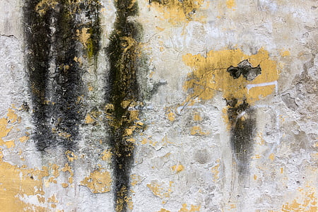 beton, muur, textuur, Moss, achtergronden, vuile, oude