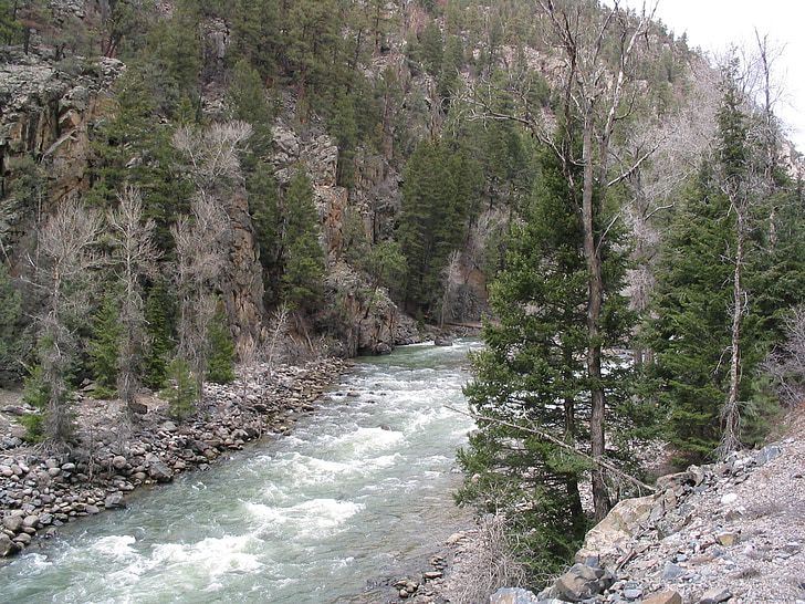 Река, Компания Riverbed, пейзаж, скалы, воды, Природа, деревья