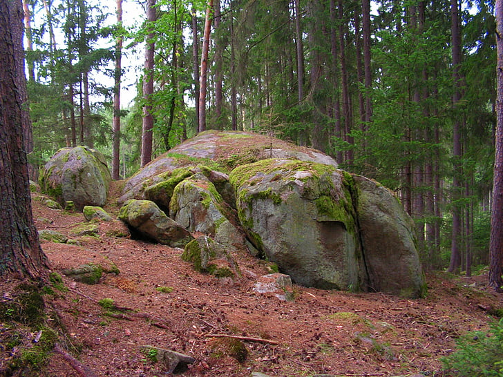 šuma, stijena, kamena, Češka