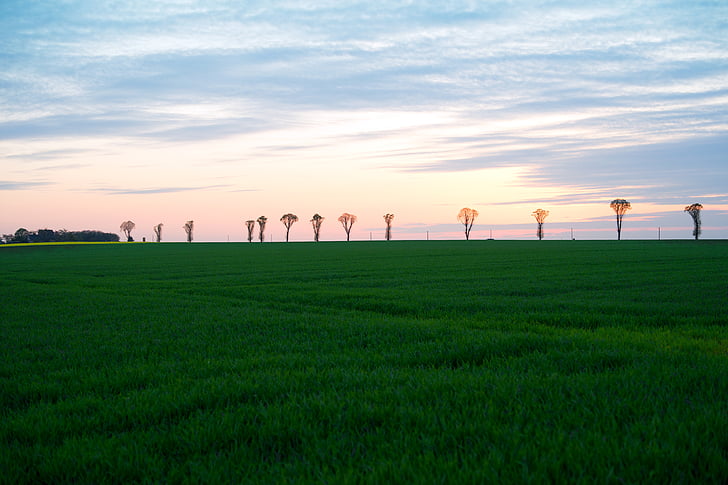 posta de sol, nit, núvols