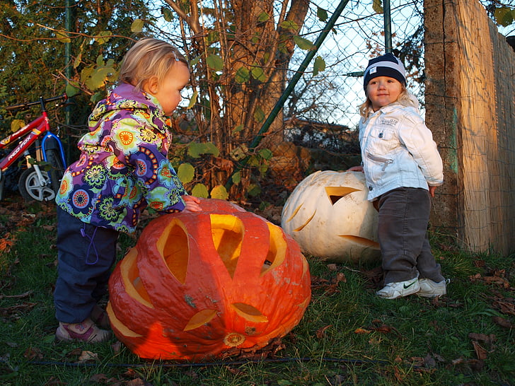 græskar, efterår, børn, Halloween, orange, barn, udendørs