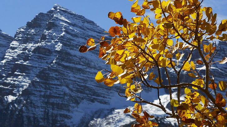 Mountain, sida, landskap, Colorado, natursköna, träd, snö