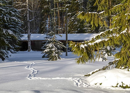 mùa đông, phong cảnh, canim lake, British columbia, Canada, tuyết, thời tiết