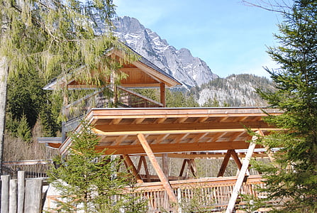 Ramsau, Berchtesgaden, szarvasok etetése, nemzeti park, téli, hegyek, rock