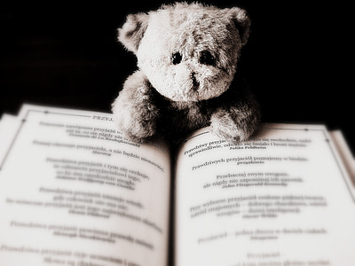 bear, toy, animal, teddy, child, book, reading