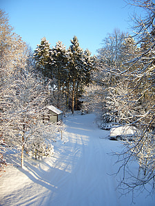 눈, 겨울, 하얀, 감기, 시즌, 프 로스트, 눈송이