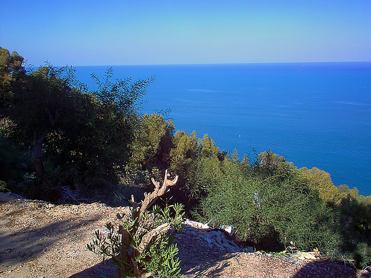 skats, jūra, Vidusjūra, krūmi, Sidi bou teica, Tunisija, Tunisijas Republika