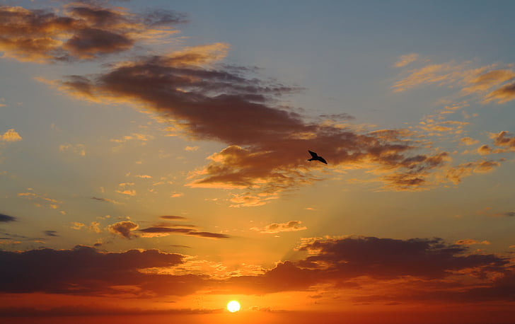 zonsondergang, zee, landschap, Horizon, Clearwater beach, Florida, Golf van mexico