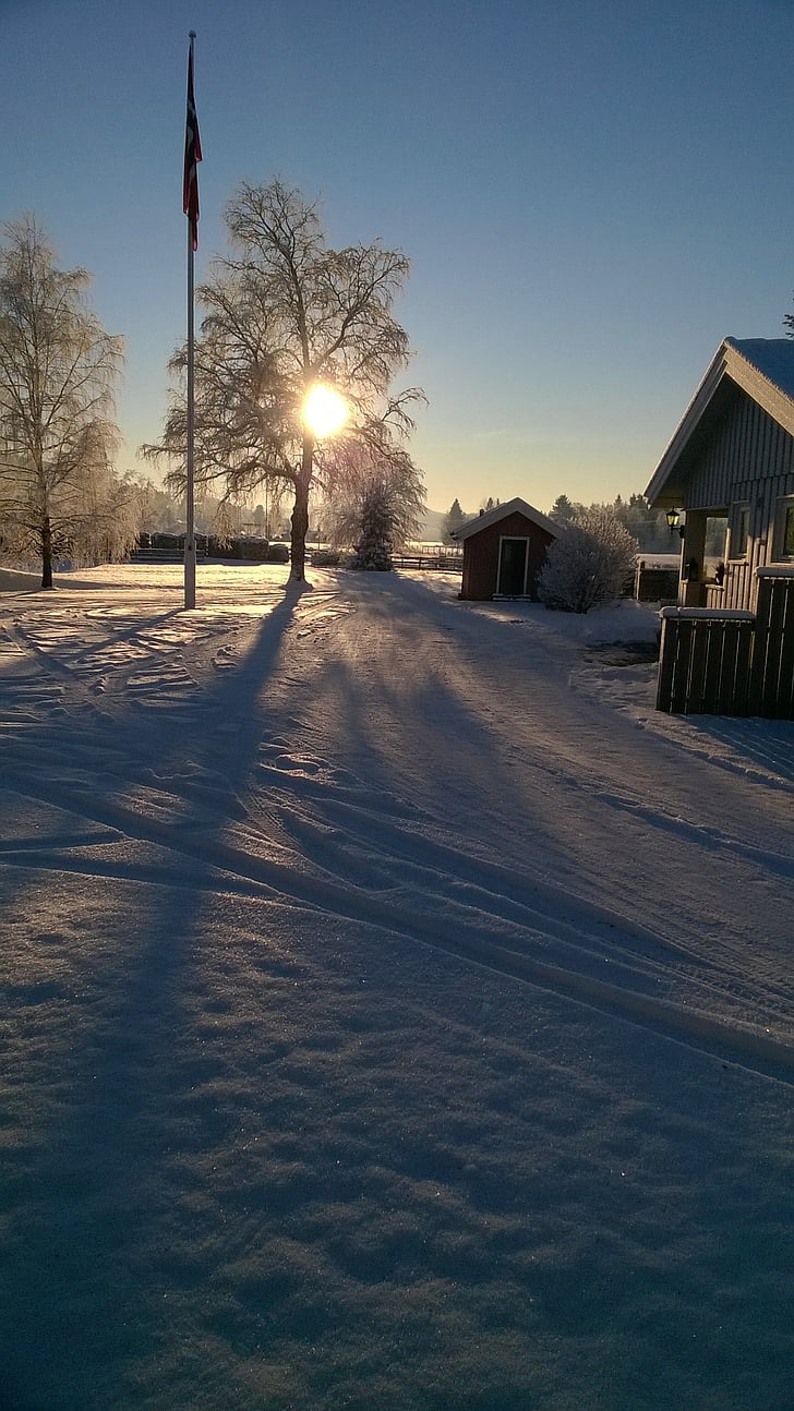 śnieg, Norwegia, drzewo, Dom