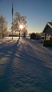 neve, Noruega, árvore, casa