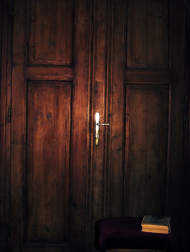 wooden door, entrance, inside, light, carvings, old, rustic