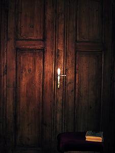 wooden door, entrance, inside, light, carvings, old, rustic